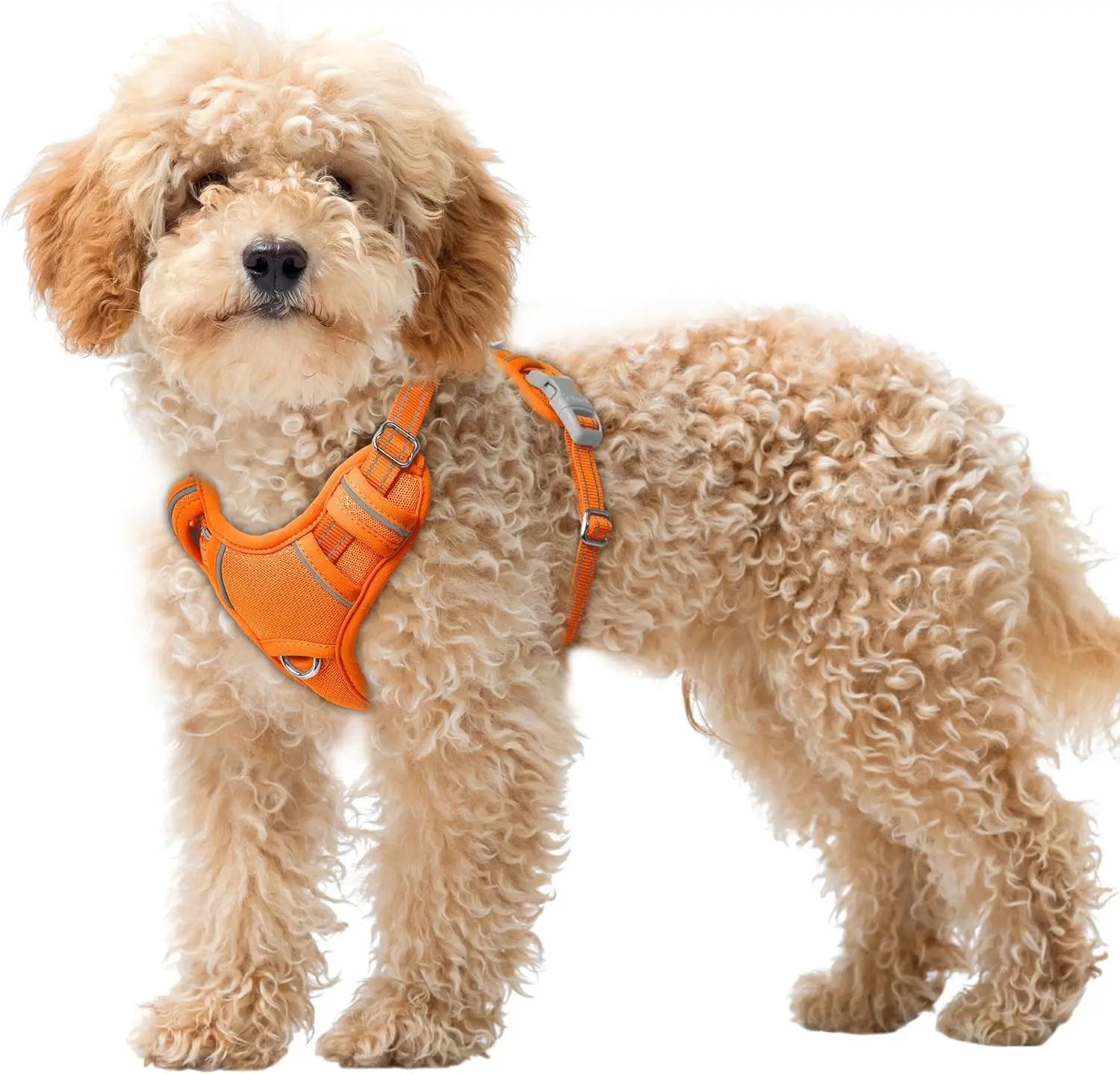 Reflective No-Pull Dog Harness, Adjustable Comfort for Training & Walking