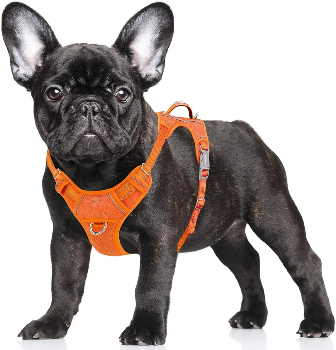 Reflective No-Pull Dog Harness, Adjustable Comfort for Training & Walking