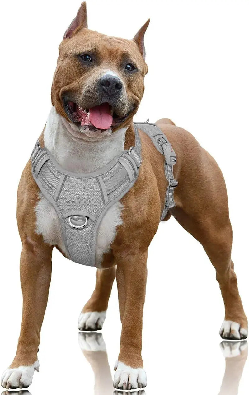 Reflective No-Pull Dog Harness, Adjustable Comfort for Training & Walking