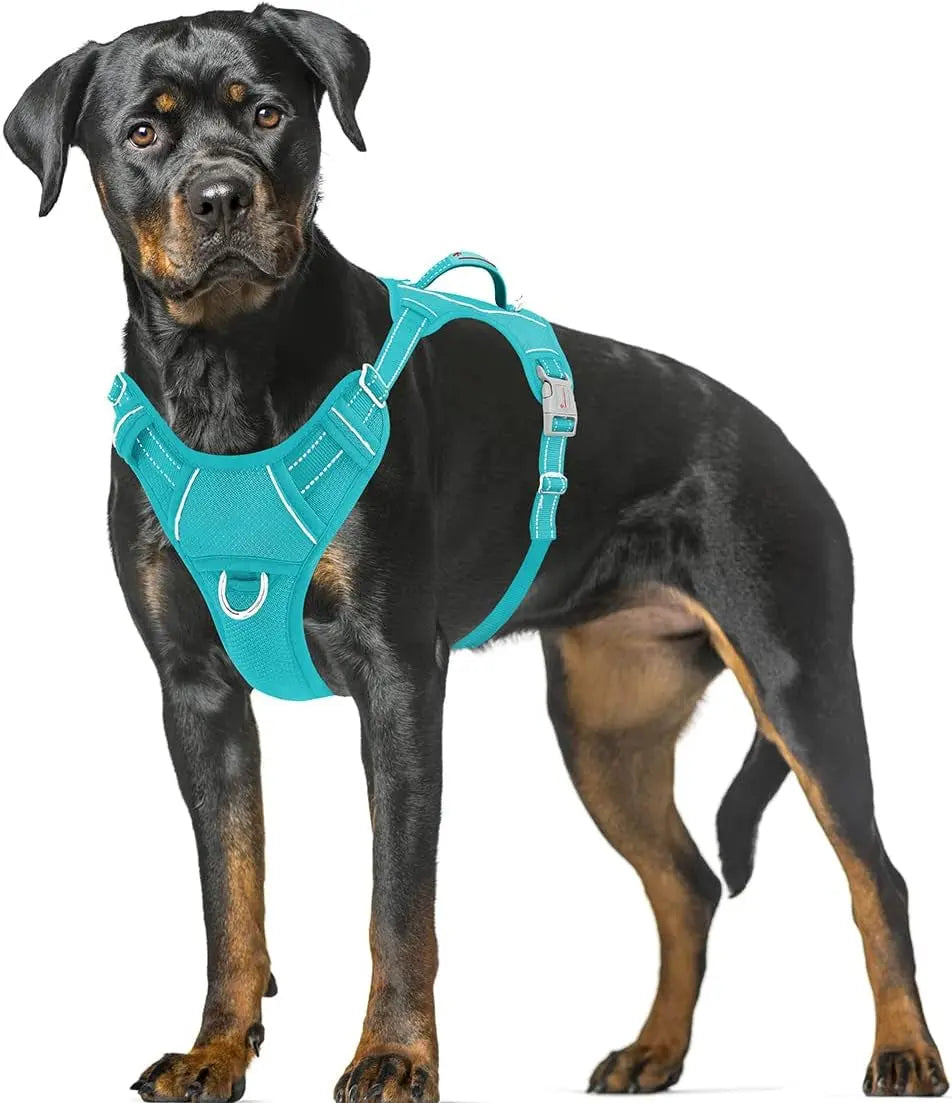 Reflective No-Pull Dog Harness, Adjustable Comfort for Training & Walking