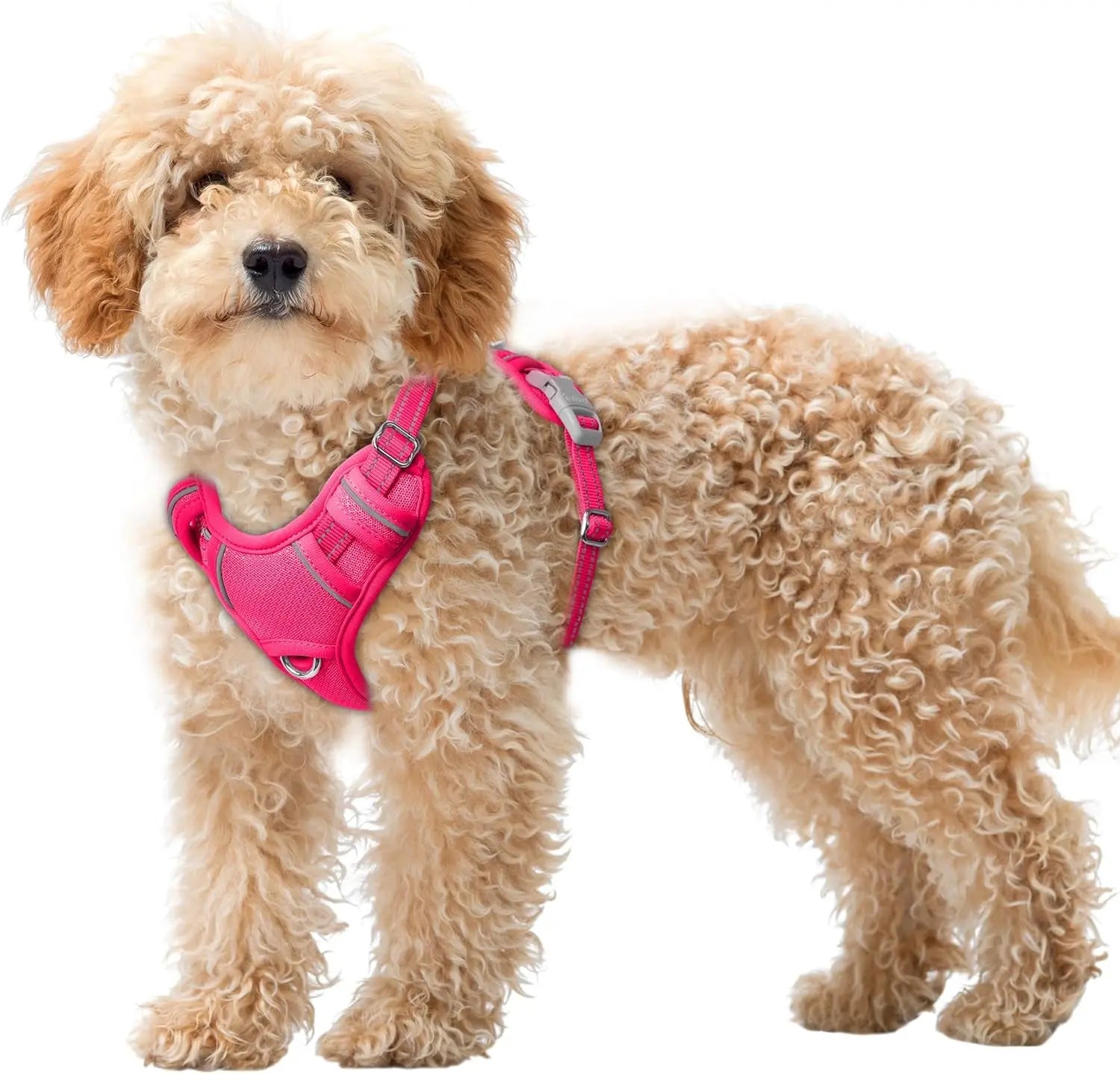 Reflective No-Pull Dog Harness, Adjustable Comfort for Training & Walking