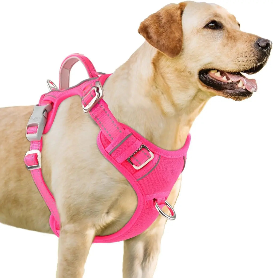 Reflective No-Pull Dog Harness, Adjustable Comfort for Training & Walking