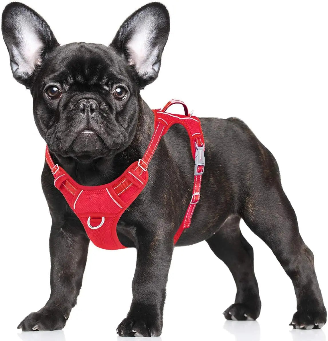 Reflective No-Pull Dog Harness, Adjustable Comfort for Training & Walking