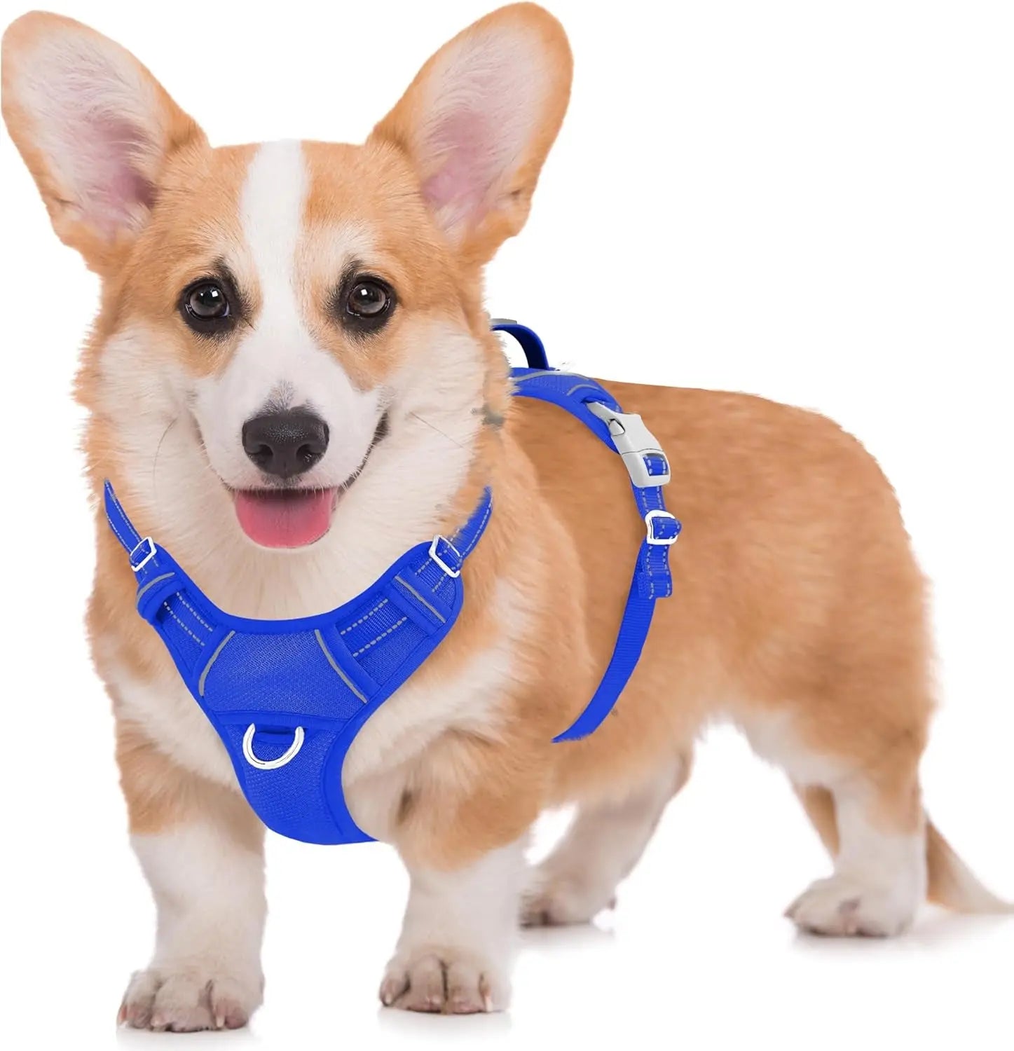 Reflective No-Pull Dog Harness, Adjustable Comfort for Training & Walking