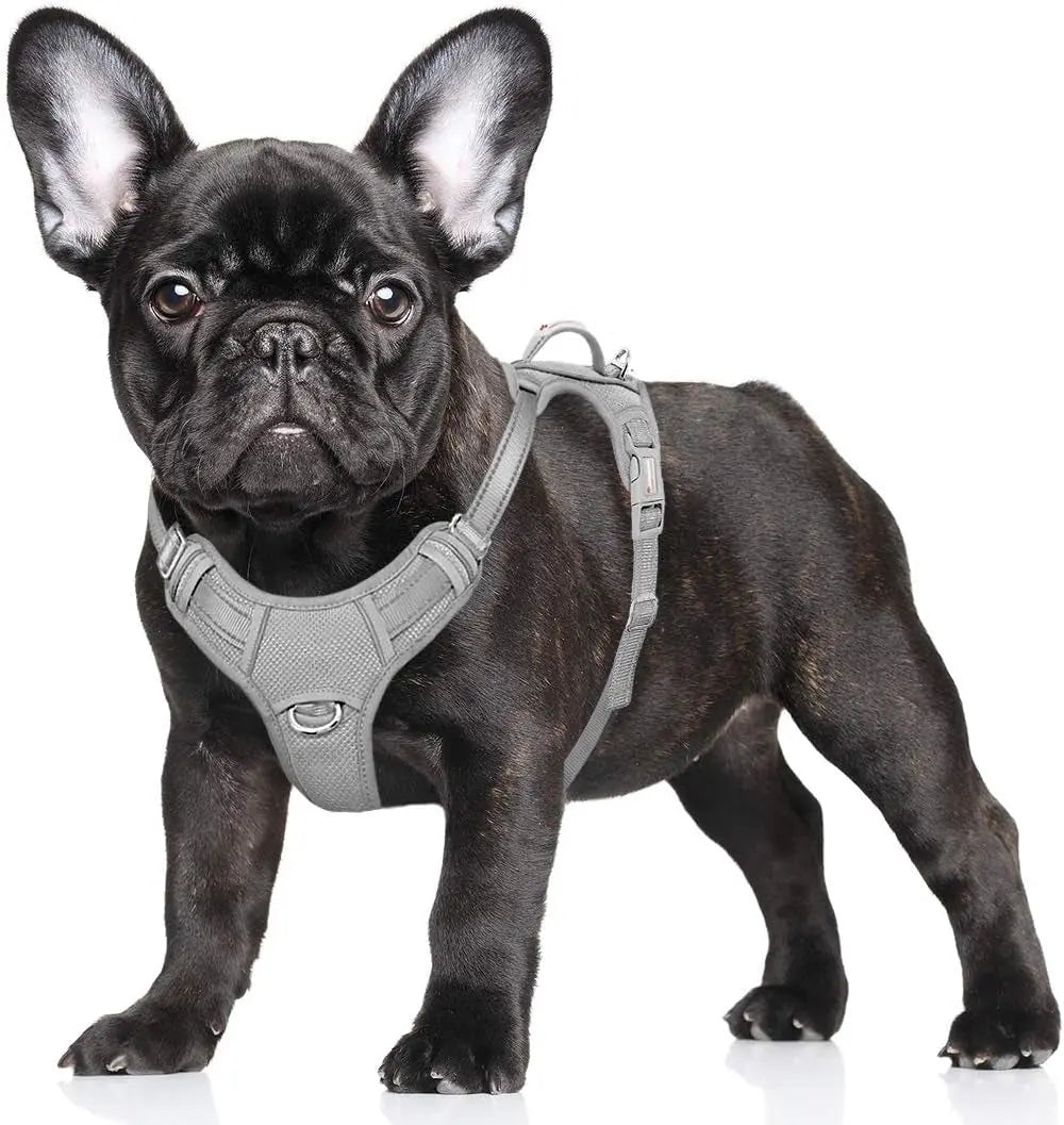 Reflective No-Pull Dog Harness, Adjustable Comfort for Training & Walking