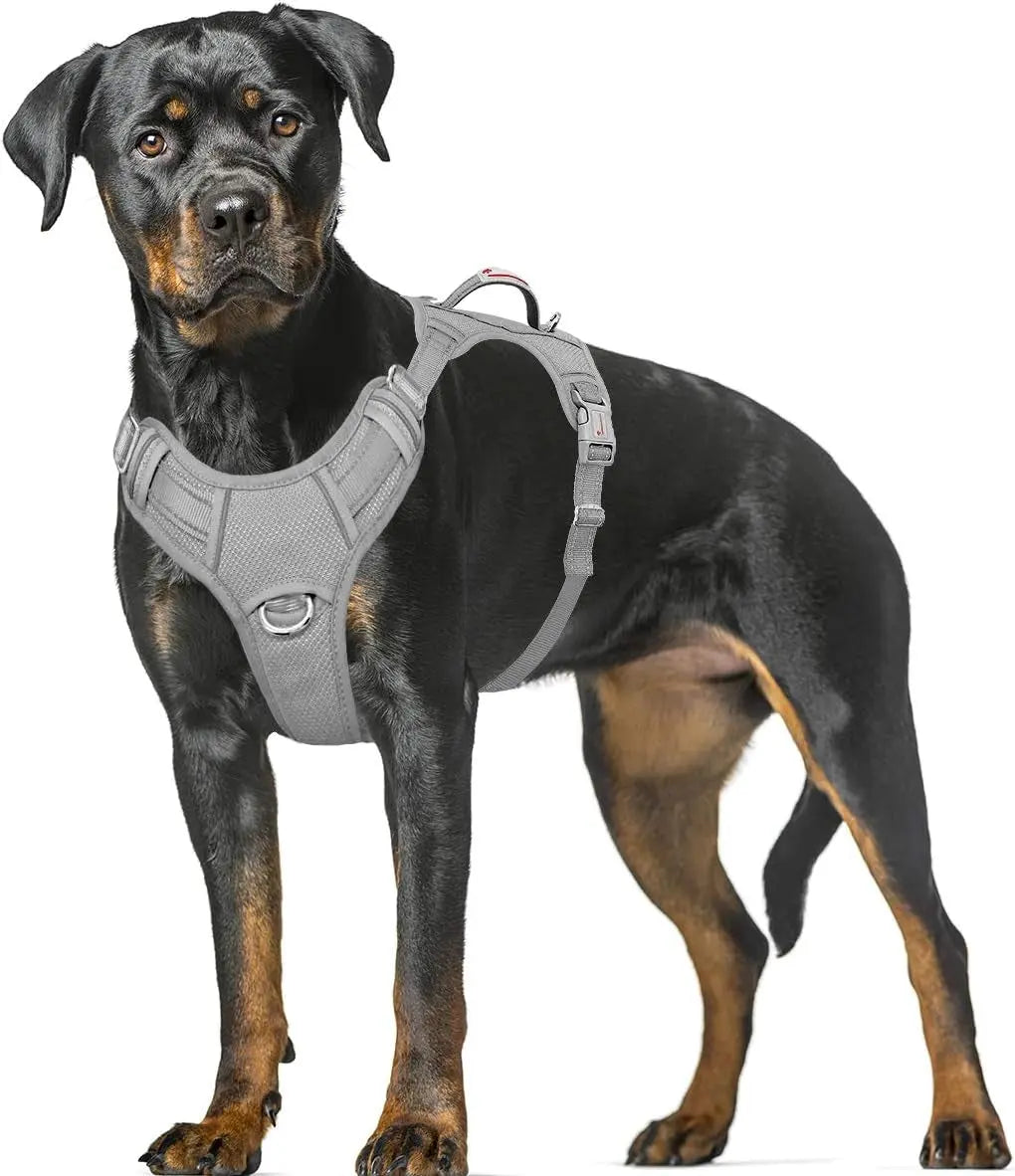 Reflective No-Pull Dog Harness, Adjustable Comfort for Training & Walking