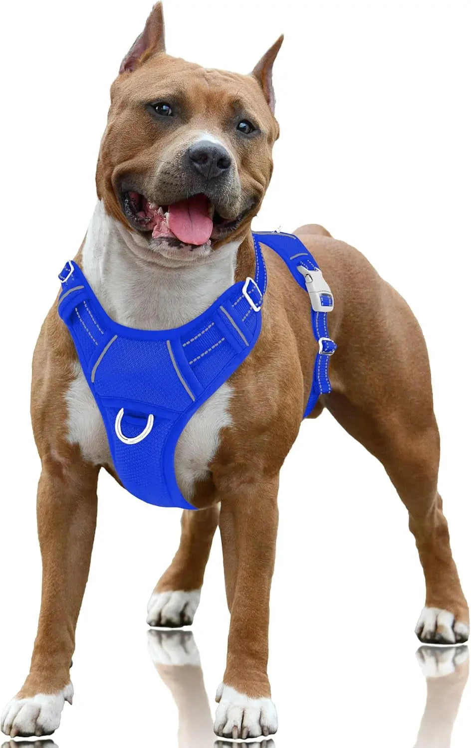 Reflective No-Pull Dog Harness, Adjustable Comfort for Training & Walking