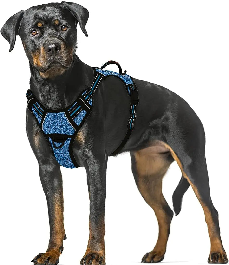 Reflective No-Pull Dog Harness, Adjustable Comfort for Training & Walking