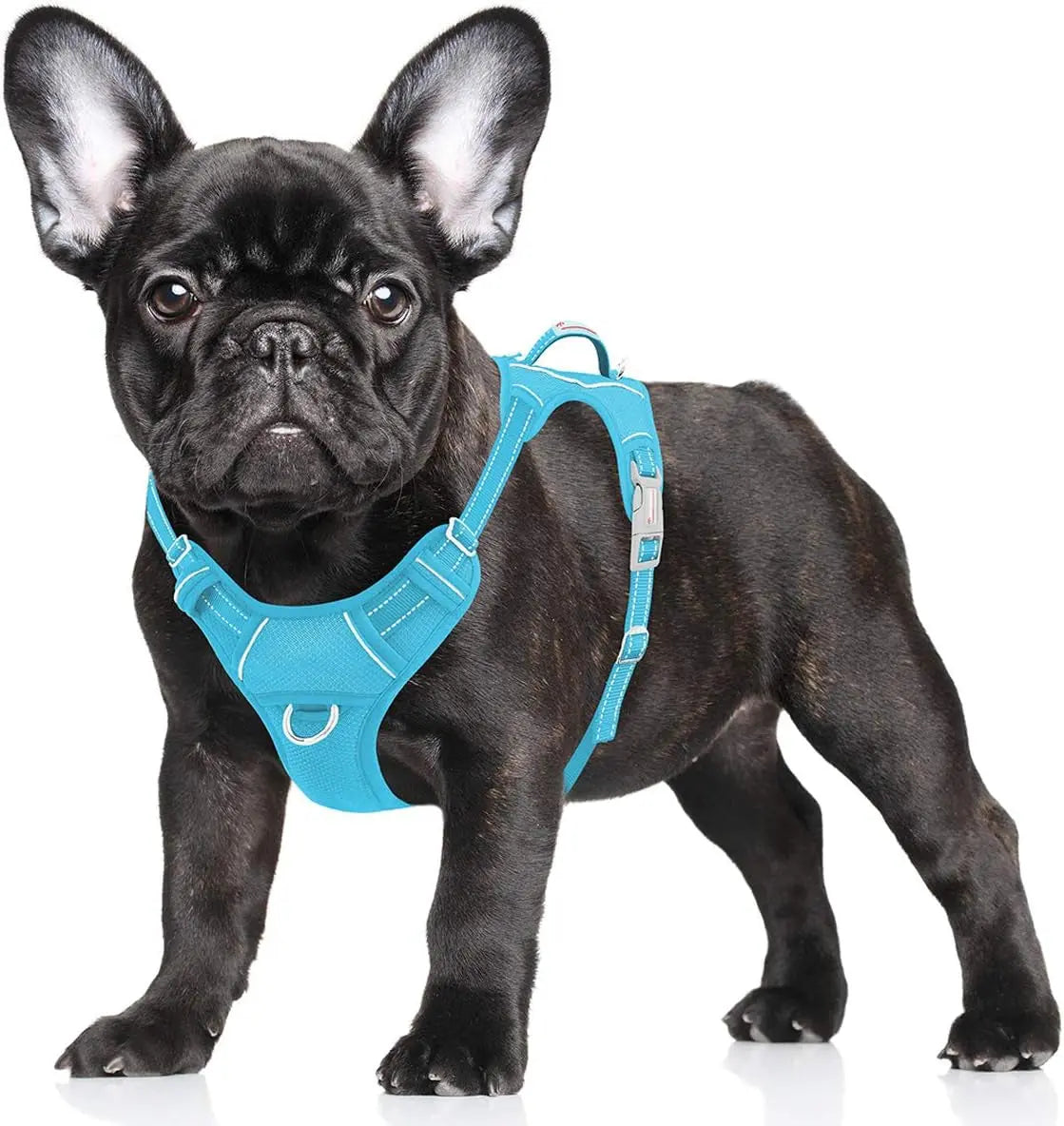 Reflective No-Pull Dog Harness, Adjustable Comfort for Training & Walking