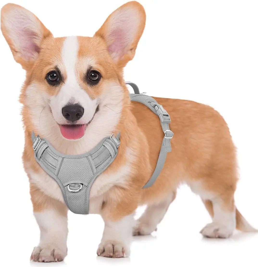Reflective No-Pull Dog Harness, Adjustable Comfort for Training & Walking