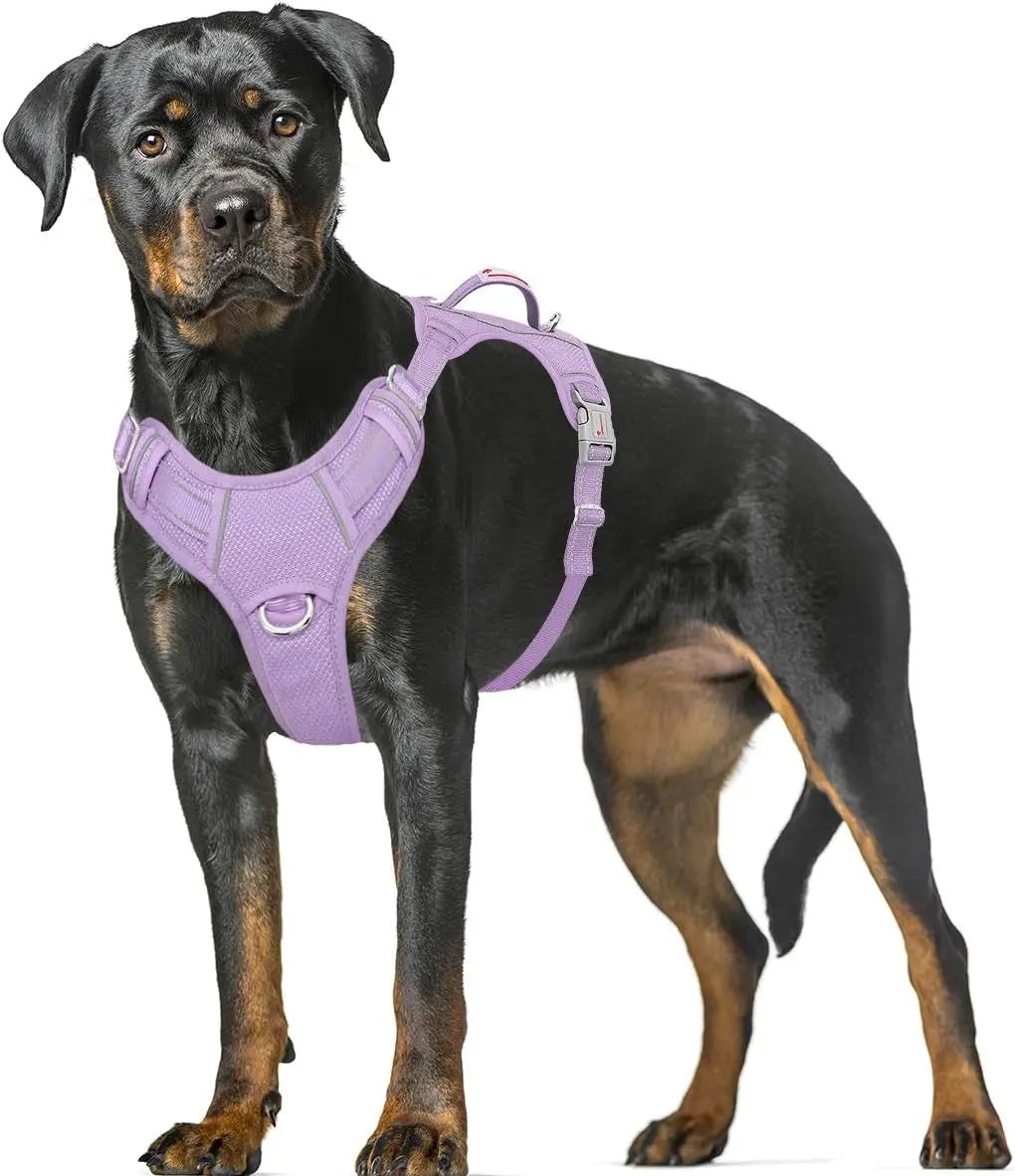 Reflective No-Pull Dog Harness, Adjustable Comfort for Training & Walking