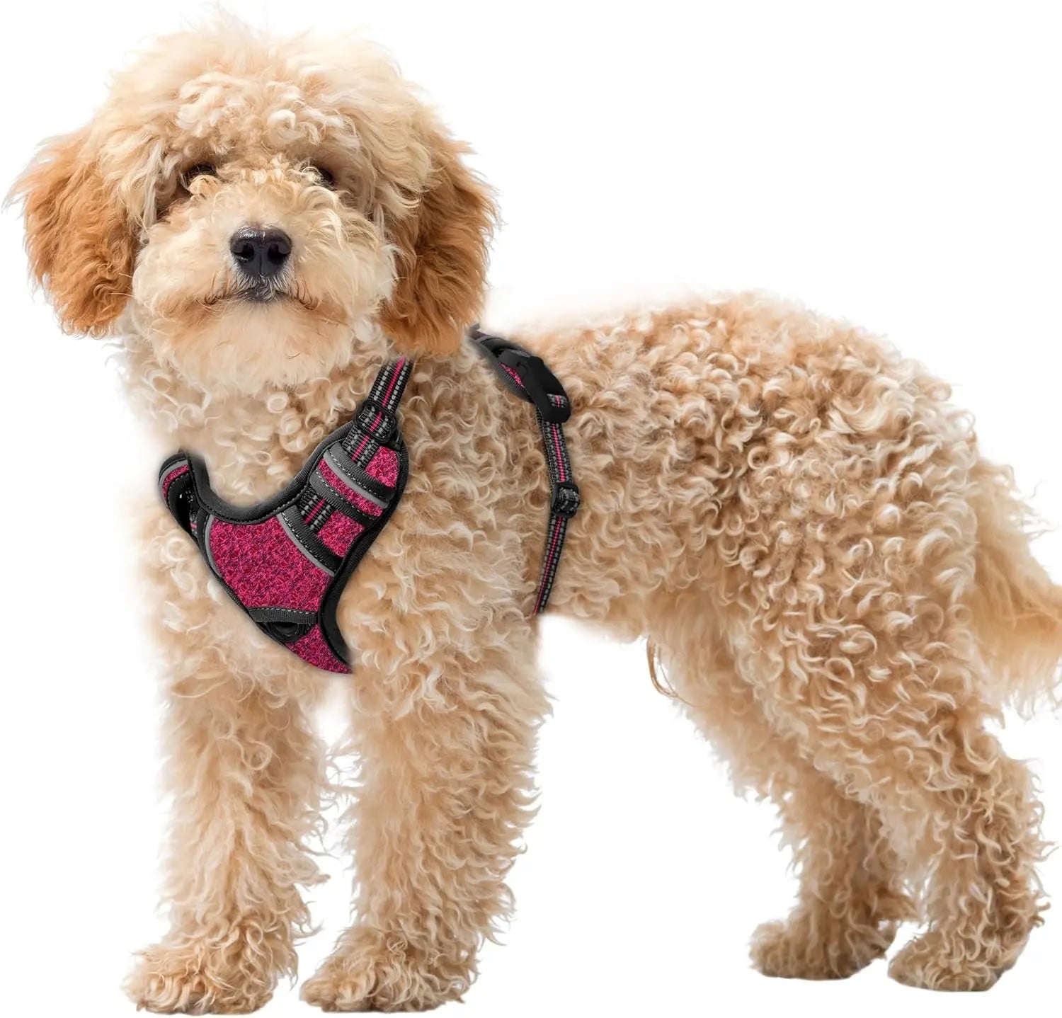 Reflective No-Pull Dog Harness, Adjustable Comfort for Training & Walking